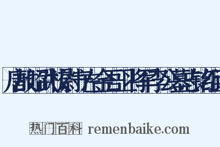 唐故昭武校尉守左金吾卫将军李公墓志铭组词是什么意思的图片